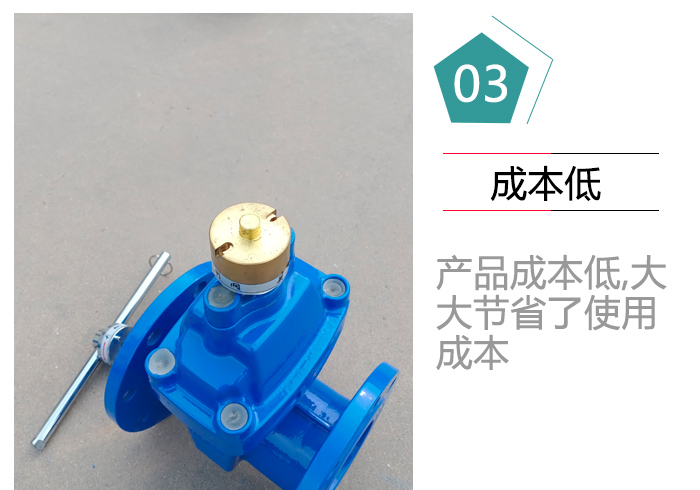 磁力锁闭阀